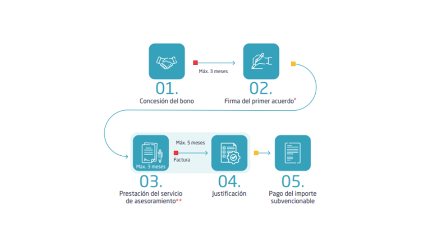 Fases kit consulting