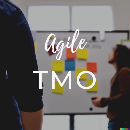 TMO y Agile testing | Discover the Testing Management Office