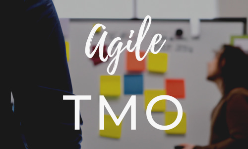 TMO y Agile testing | Descubre la oficina de gestión de pruebas